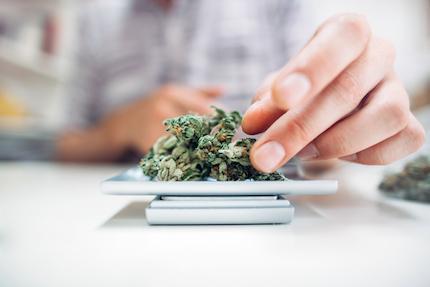 Law and Ethics for Medical Marijuana Retailers