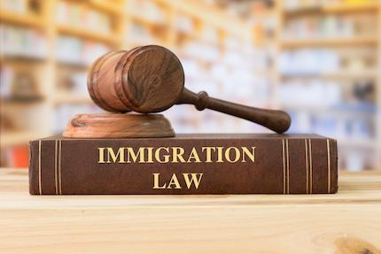 An Overview of Immigration Law