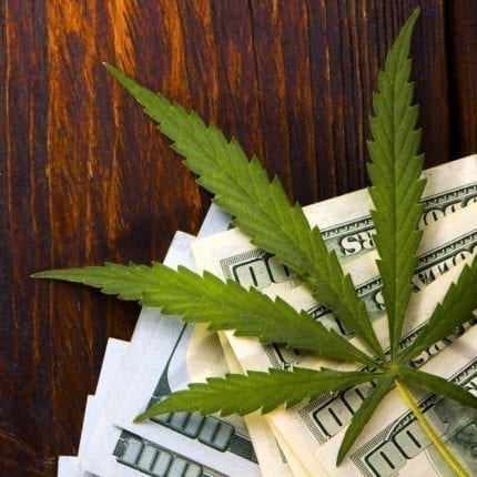 Can Marijuana Business Operators Obtain Bankruptcy Relief? NIMBC - Not In My Bankruptcy Court