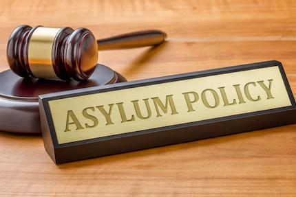 Defensive Asylum: Case Analysis, Strategies And Best Trial Practice