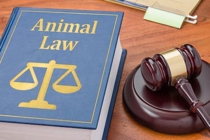 Animal Law For Lawyers CLE