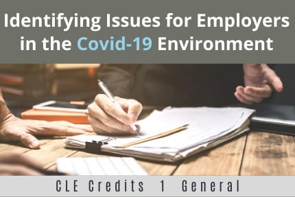 Identifying Issues For Employers in the Covid19 Environment CLE Identifying Issues For Employers in the Covid19 Environment CLE