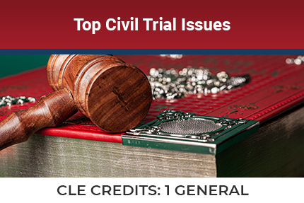 Top Civil Trial Issues CLE Top Civil Trial Issues CLE